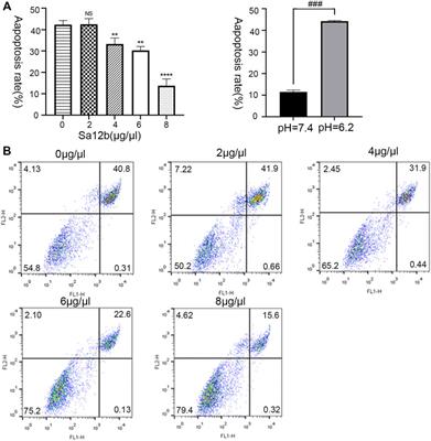 Sa12b Improves Biological Activity of Human Degenerative Nucleus Pulposus Mesenchymal Stem Cells in a Severe Acid Environment by Inhibiting Acid-Sensitive Ion Channels